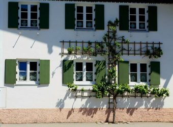 Удачные примеры преображения фасада дома при помощи ставень для окон (деревянные, металлические, пластиковые). Делаем просто и красиво (+Отзывы)