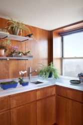 Стеклянные полки в комнате на стене: 150+ Фото использования в гостиной, на кухне, в ванной. Какой вариант выбрать?