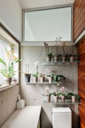 Стеклянные полки в комнате на стене: 150+ Фото использования в гостиной, на кухне, в ванной. Какой вариант выбрать?