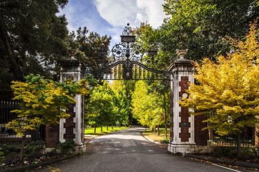 Заборы для частных домов и приусадебных территорий (+390 Фото Идей). Красивые ограждения и критерии выбора