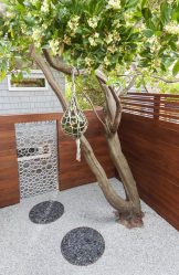 Заборы для частных домов и приусадебных территорий (+390 Фото Идей). Красивые ограждения и критерии выбора