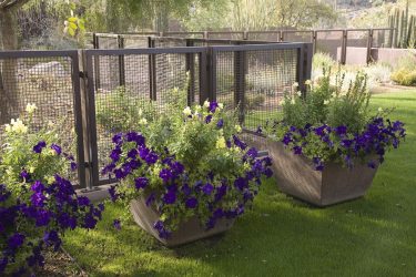 Заборы для частных домов и приусадебных территорий (+390 Фото Идей). Красивые ограждения и критерии выбора