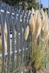 Заборы для частных домов и приусадебных территорий (+390 Фото Идей). Красивые ограждения и критерии выбора