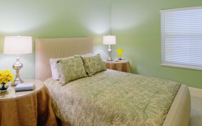 Интерьер спальни зеленого цвета: Как сделать его лучшим местом для отдыха? 175+ (Фото) вариантов Дизайна (шторы, обои, стены)