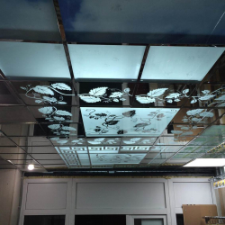 Зеркальный потолок: Особенности интерьерного решения (в ванной, гостиной, прихожей). Блестящая отделка для эффектного дизайна