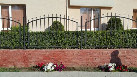 Живая изгородь на даче – своими руками: подбор растений, посадка и уход. Быстрорастущие, многолетние и вечнозеленые — какие лучше выбрать? (105+ Фото)