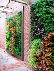 Живая изгородь на даче – своими руками: подбор растений, посадка и уход. Быстрорастущие, многолетние и вечнозеленые — какие лучше выбрать? (105+ Фото)