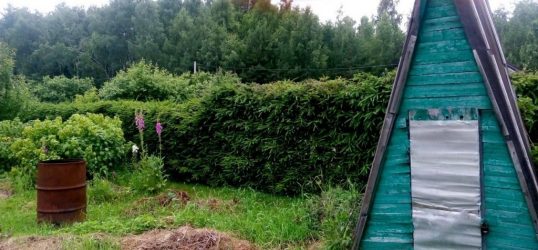 Живая изгородь на даче – своими руками: подбор растений, посадка и уход. Быстрорастущие, многолетние и вечнозеленые — какие лучше выбрать? (105+ Фото)