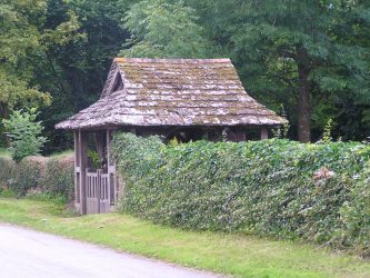 Живая изгородь на даче – своими руками: подбор растений, посадка и уход. Быстрорастущие, многолетние и вечнозеленые — какие лучше выбрать? (105+ Фото)
