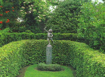 Живая изгородь на даче – своими руками: подбор растений, посадка и уход. Быстрорастущие, многолетние и вечнозеленые — какие лучше выбрать? (105+ Фото)