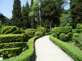 Живая изгородь на даче – своими руками: подбор растений, посадка и уход. Быстрорастущие, многолетние и вечнозеленые — какие лучше выбрать? (105+ Фото)